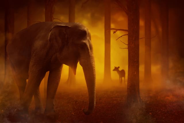 Nestlé, Unilever, P&G: Stop fueling the fires!