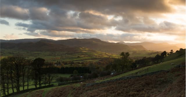 Tell the UK Gov: Don't cut lifeline to bees and other pollinators!